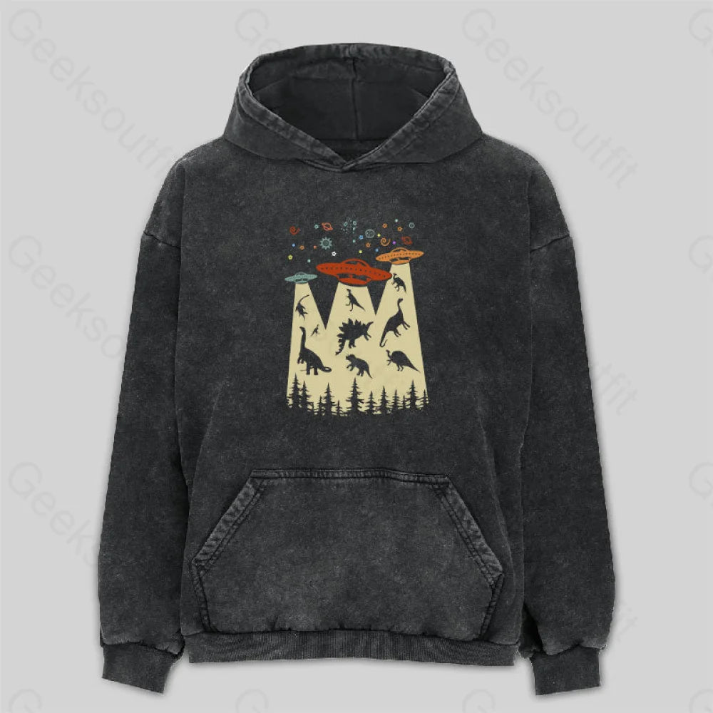 Dinosaur Planet Washed Hoodie